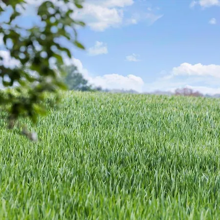 5613-allinge-bohnebakken-21-lejl-1 Allinge-Sandvig